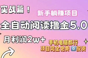 （11578期）小说全自动阅读撸金5.0 操作简单 可批量操作 零门槛！小白无脑上手月入2w+