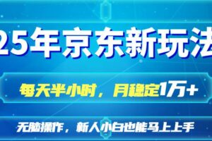 （14309期）25京东新玩法，每天半小时，月稳定1W+