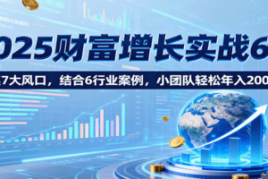 2025财富增长实战6.0,聚焦7大风口,结合6行业案例,小团队轻松年入200万!