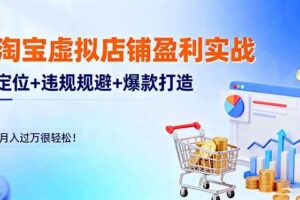 （16387期）淘宝虚拟店铺盈利实战：定位+违规规避+爆款打造，月入过万很轻松！
